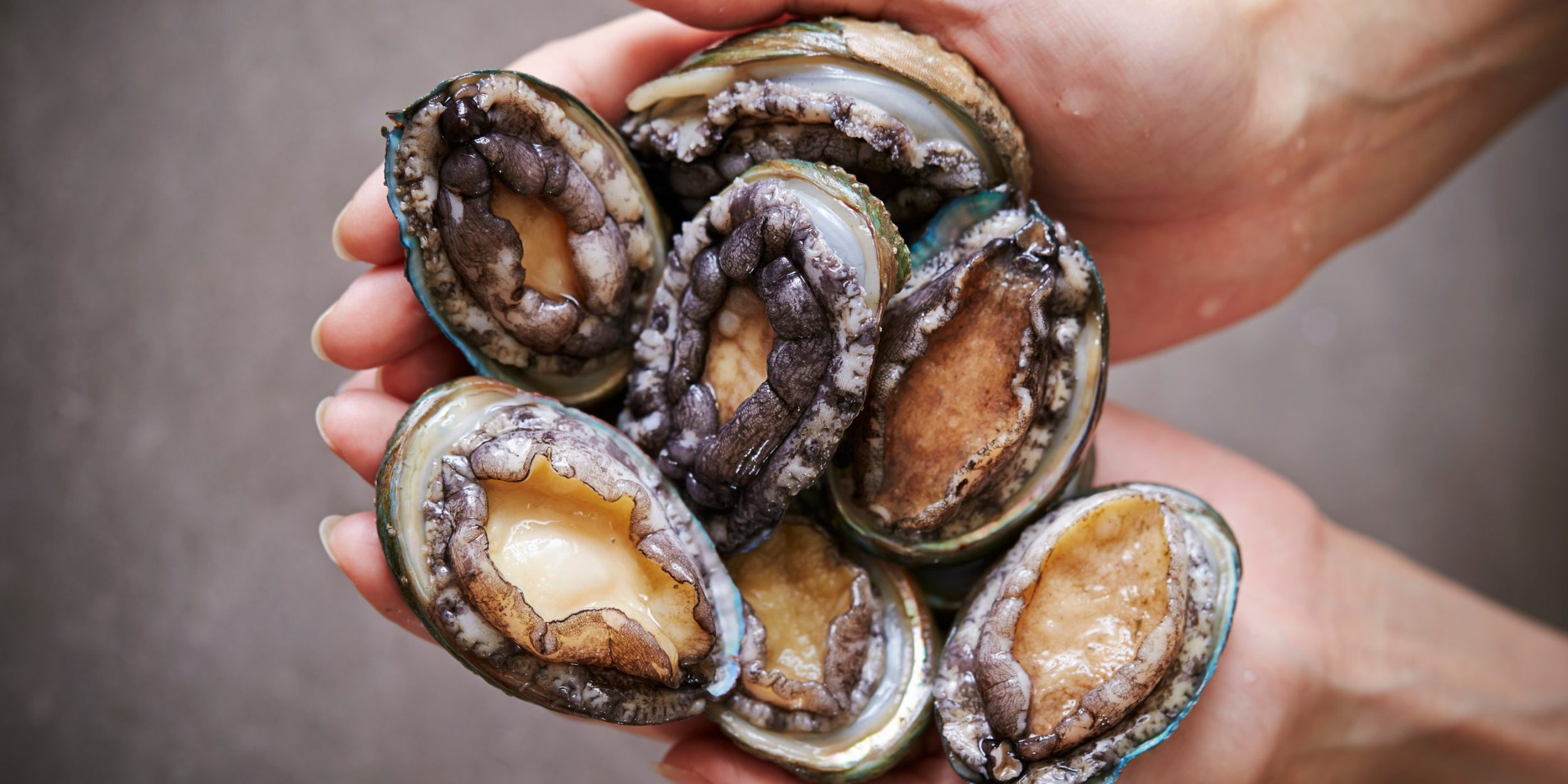 What Exactly Is Abalone And How Do You Eat It?